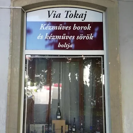 Appartamento Via Tokaj Vendégház *