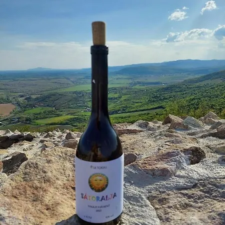 Via Tokaj Vendégház Appartamento