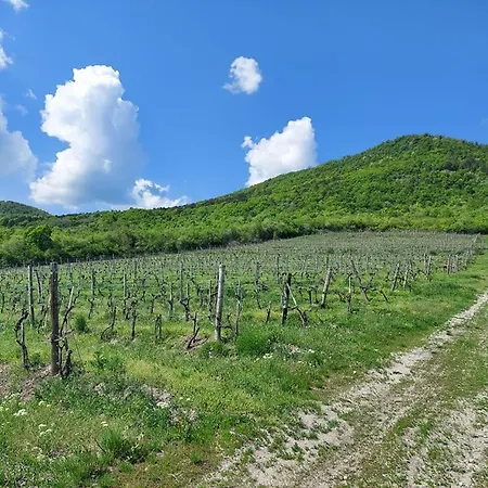 Via Tokaj Vendégház * Sátoraljaújhely