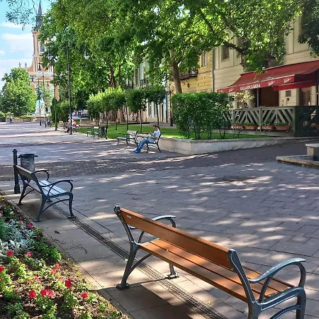 Via Tokaj Vendeghaz Apartmán